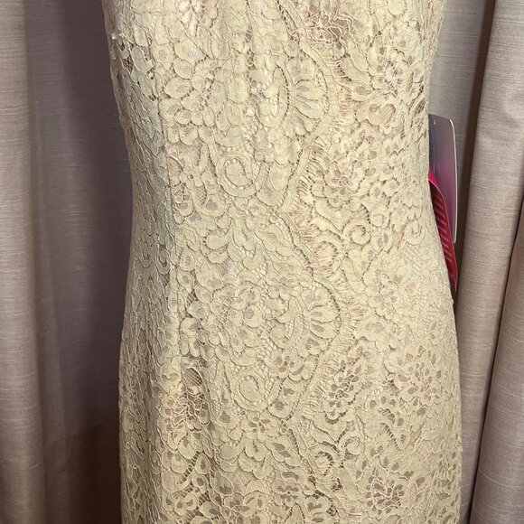 J S Collections 12 Formal Beige Lace Feminine Maxi Resort Wedding Event $248 - Picture 4 of 16
